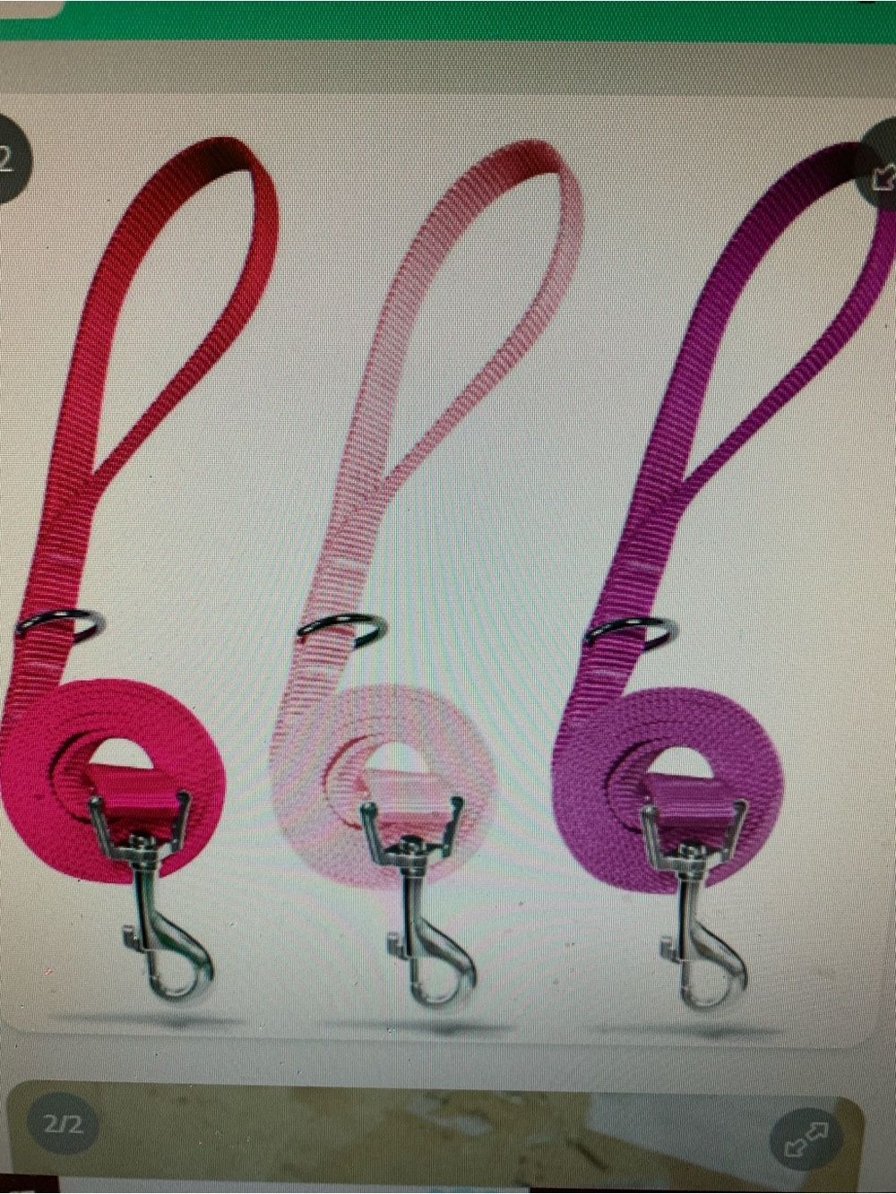 Azusa 3 pack nylon dig leashes. XS. 6’